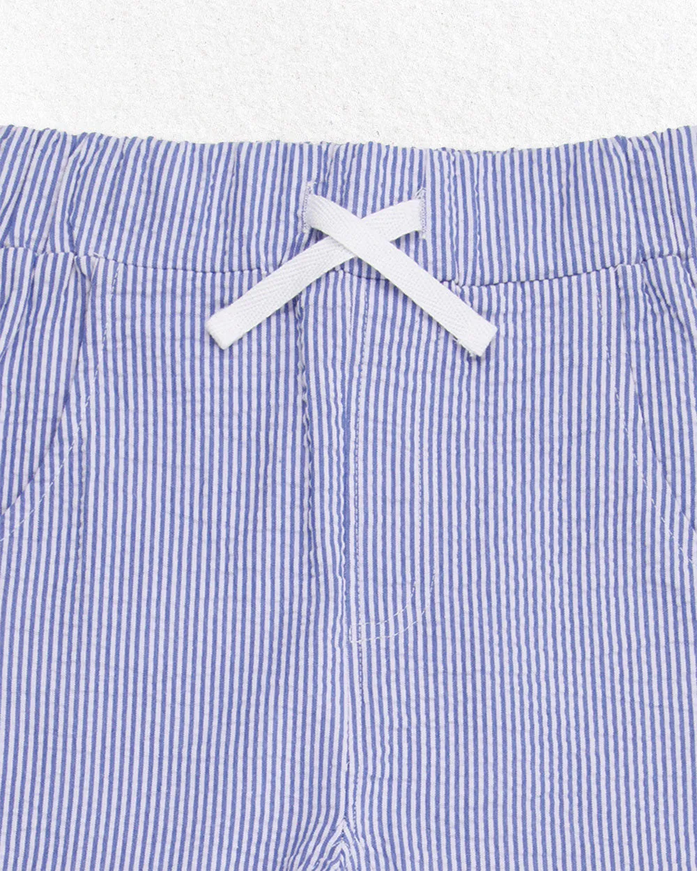 Blue Stripe Print Trousers