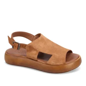 Bueno - Jacob Chestnut Suede
