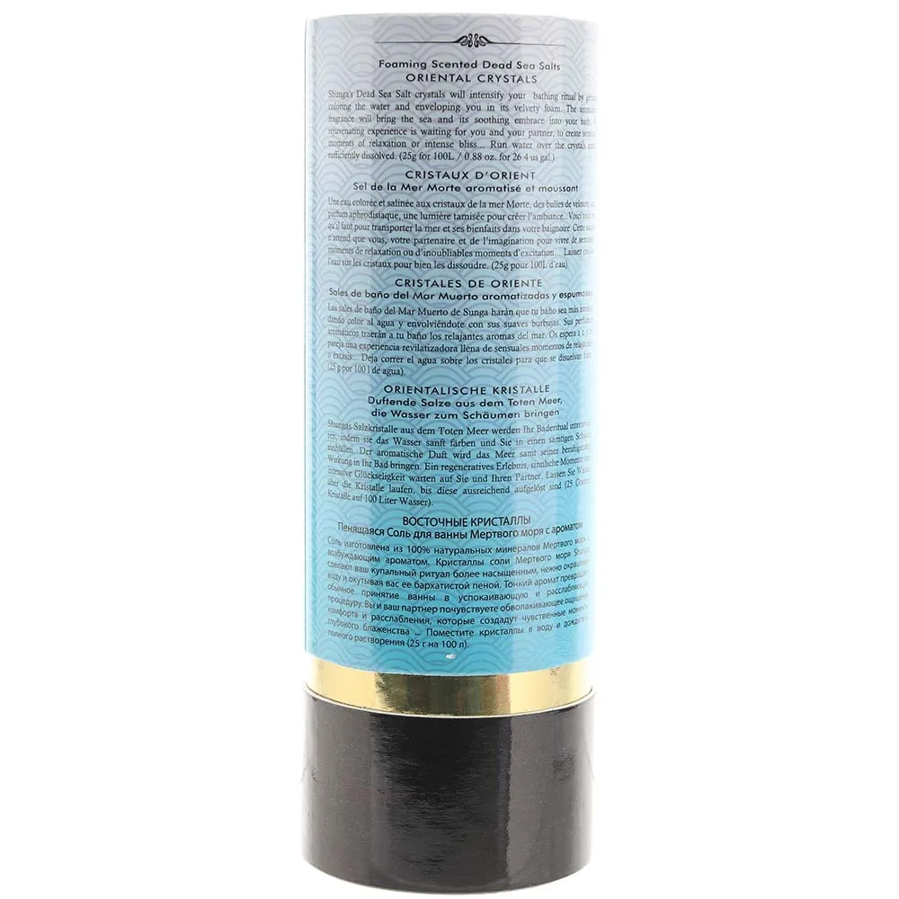 Foaming Dead Sea Salts 17.6oz in Ocean Temptations