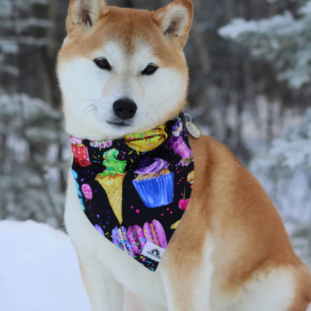 Foulard chic pour grand chien - Carreauté laine bleue