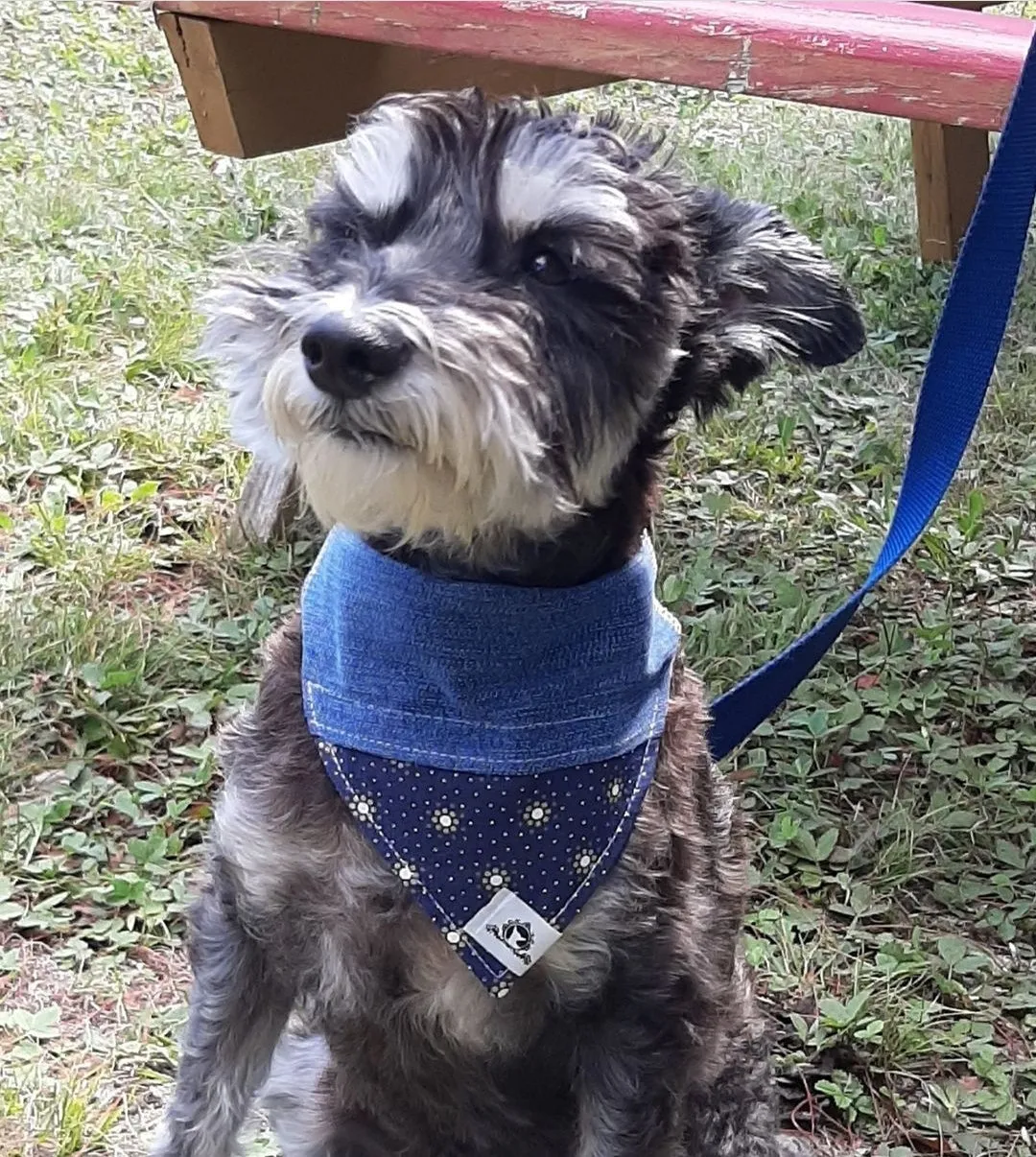 Foulard de jeans recyclés pour chien moyen - Chic mauve