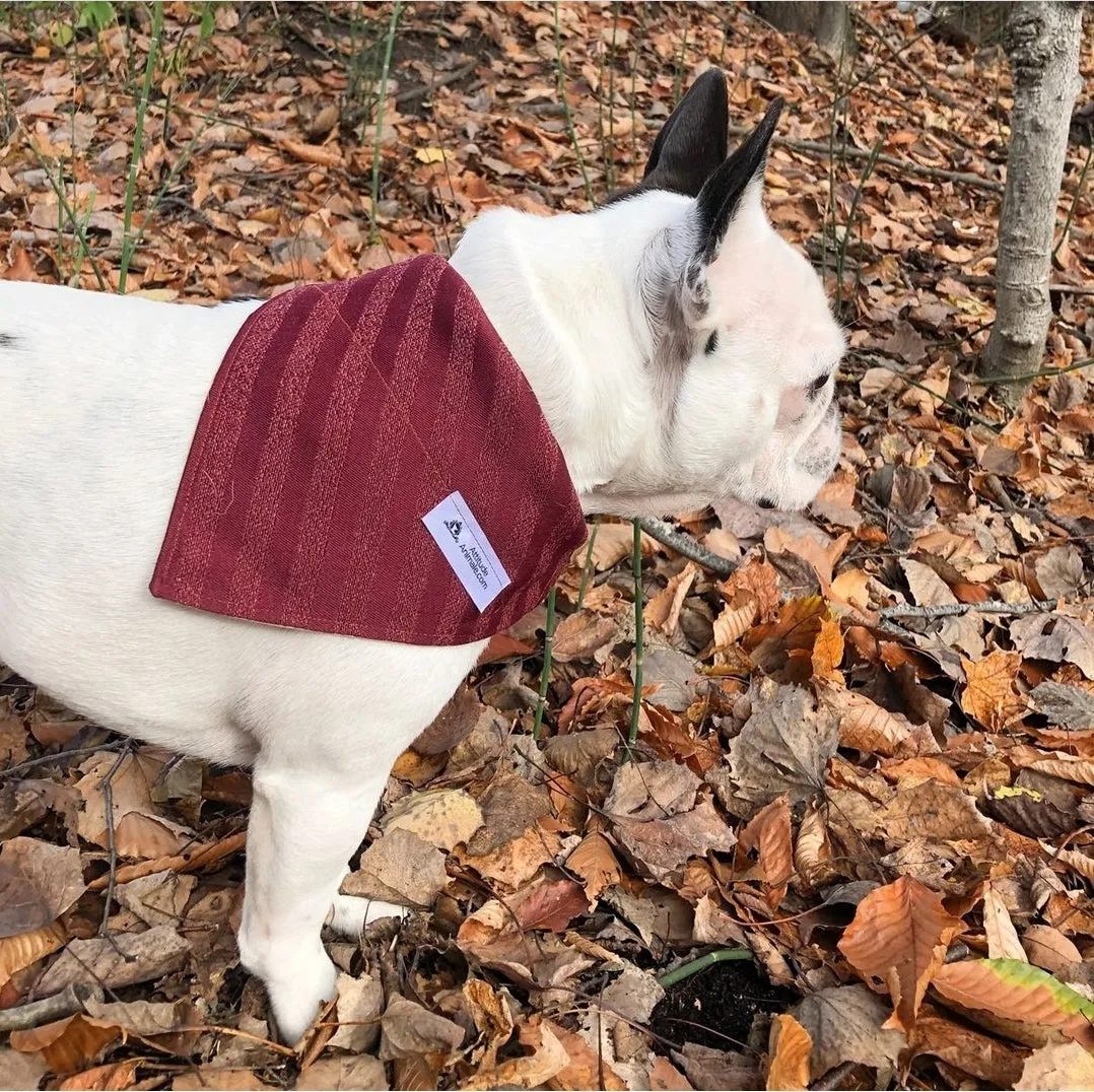 Foulard de jeans recyclés pour chien moyen - Chic mauve