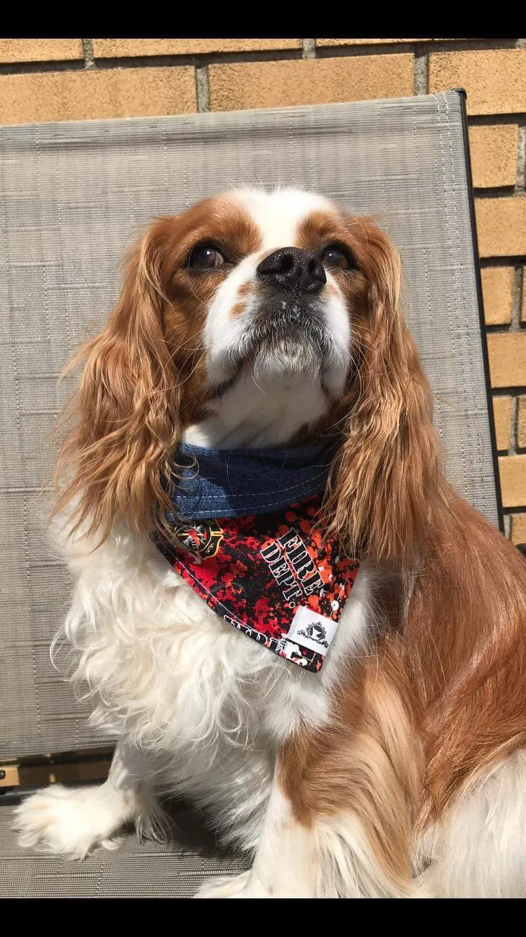 Foulard de jeans recyclés pour chien moyen - Chic mauve