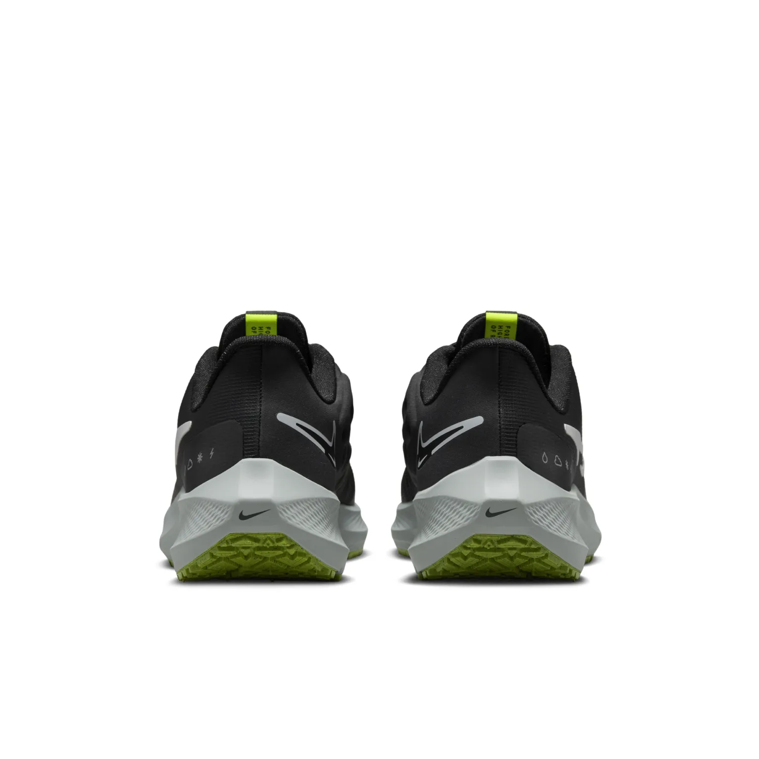 Nike Womens Pegasus 39 Shield Running