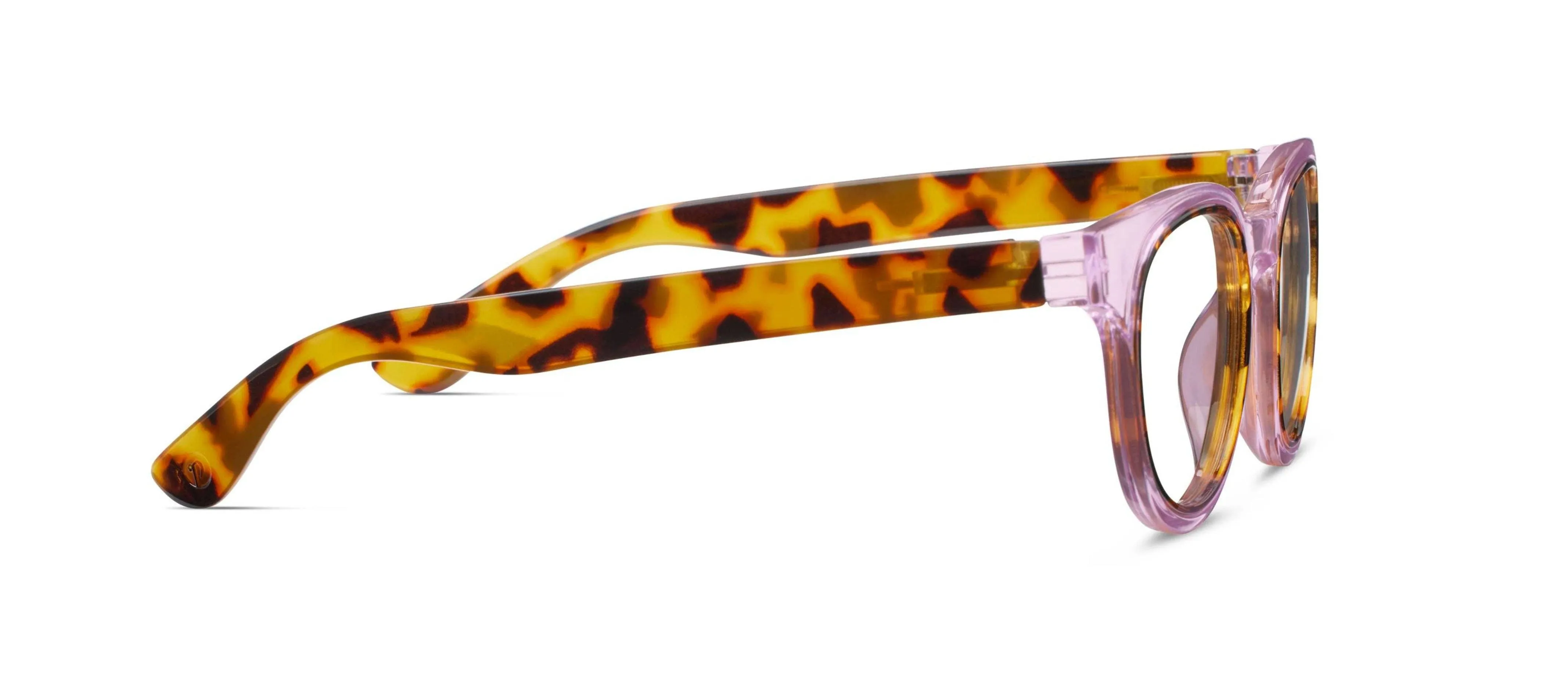 Olympia (Blue Light): Purple/Tokyo Tortoise / Reading / 2.00