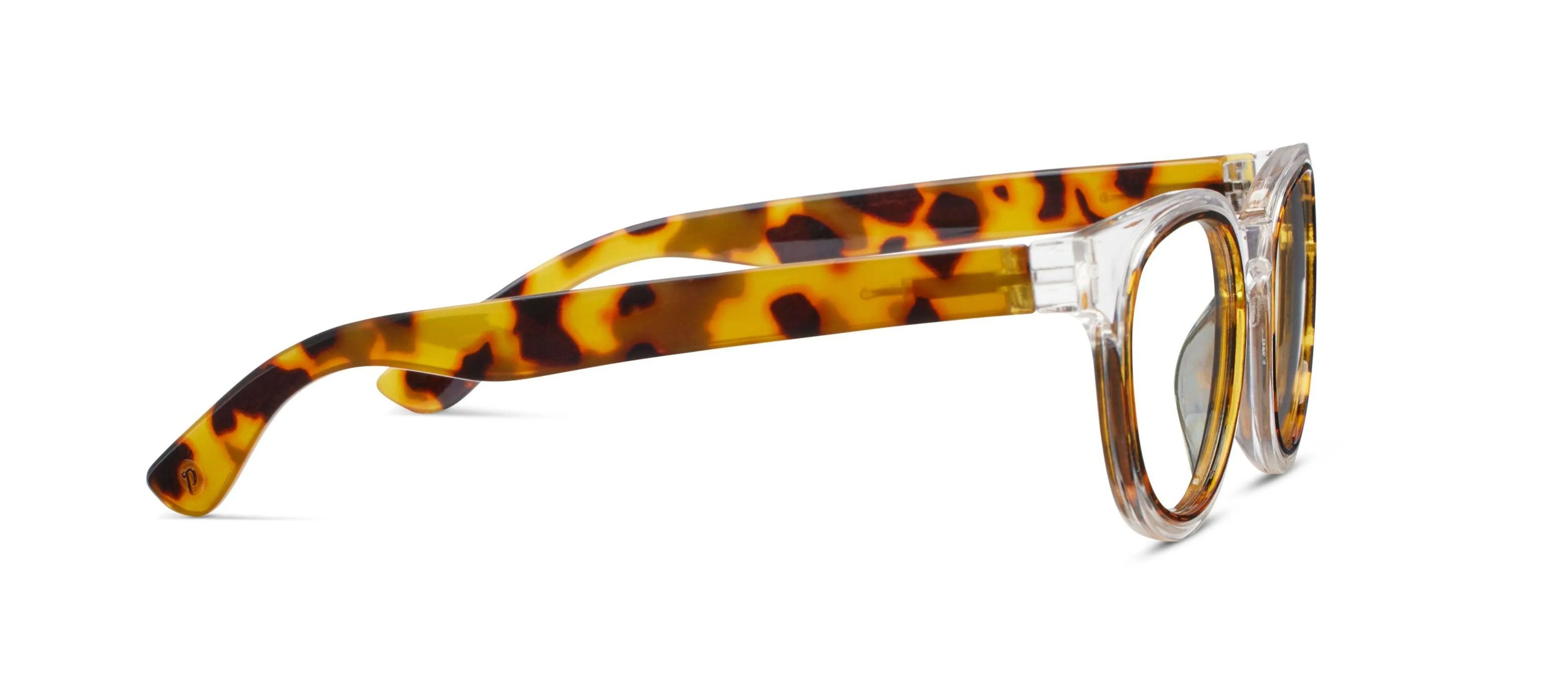 Olympia (Blue Light): Purple/Tokyo Tortoise / Reading / 2.00