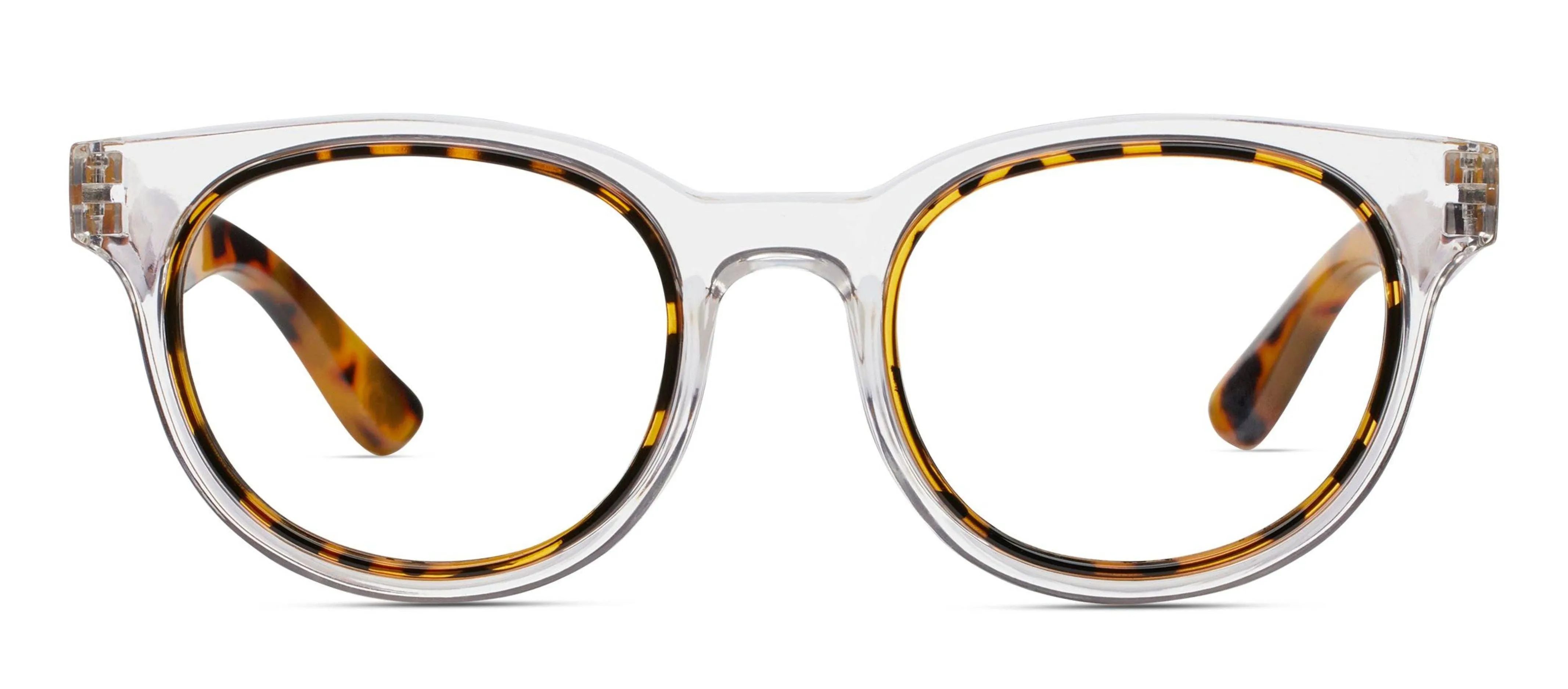 Olympia (Blue Light): Purple/Tokyo Tortoise / Reading / 2.00