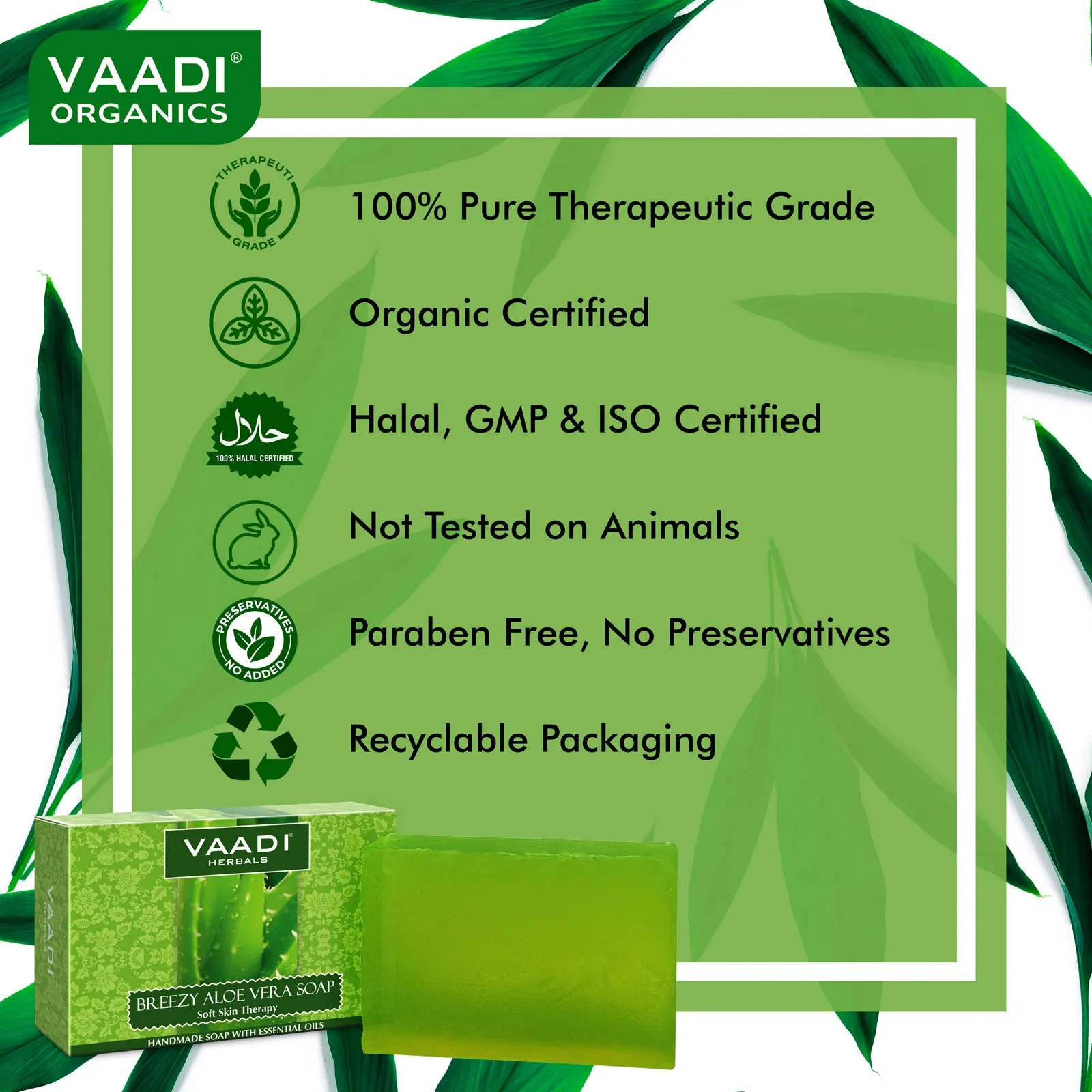 Pack of 6 Breezy Aloe Vera Soap (75 gms x 6)