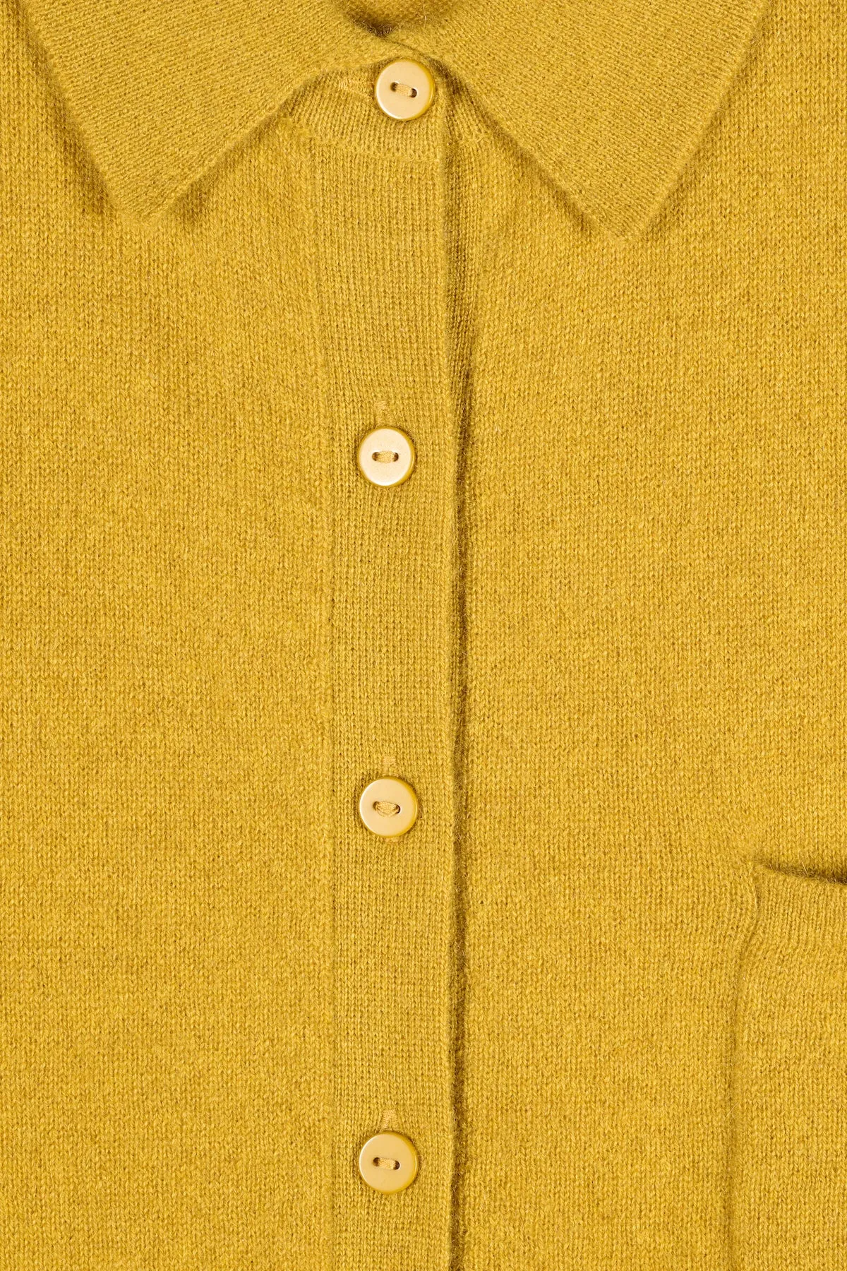 Picea Shirt