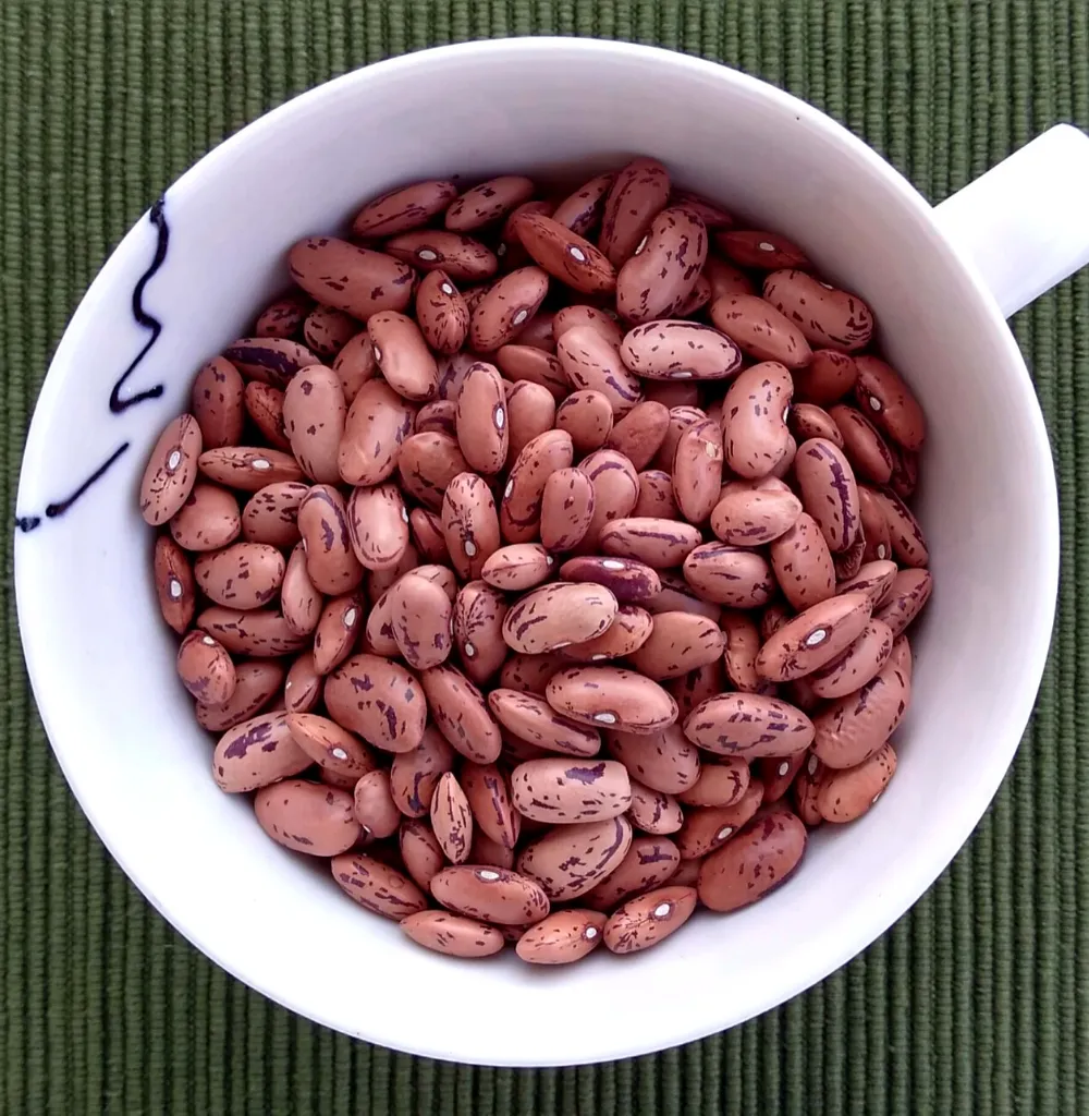 Rajma Chitra