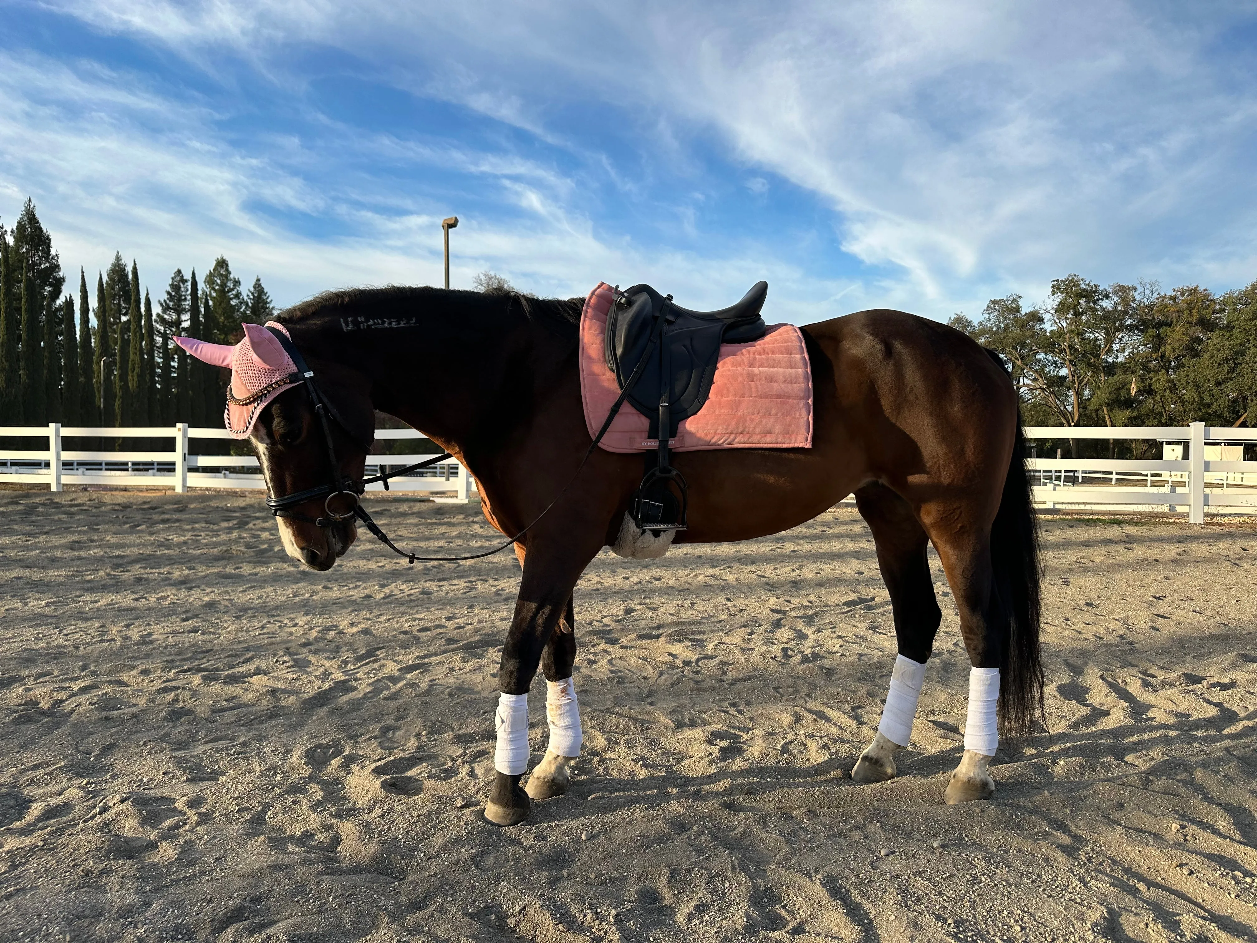 Suede Tech Dressage Saddle Pad Vieux Rose