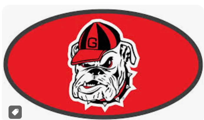 UGA Mirrored Hitch Covers