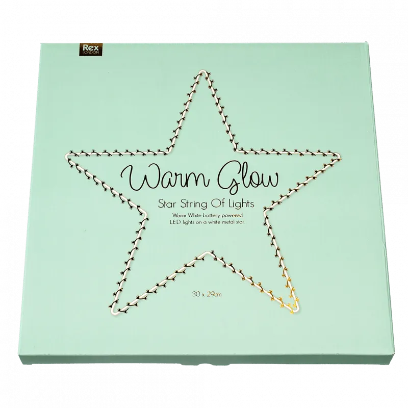 Warm Glow Large LED Star Light